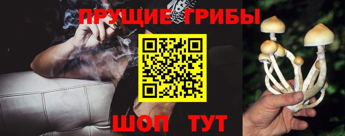 Галлюциногенные грибы Psilocybine cubensis  Вход с VPN  Железноводск  Галлюциногенные грибы мицелий 