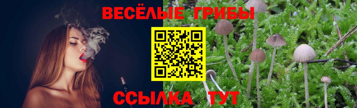 Псилоцибиновые грибы Magic Shrooms Железноводск